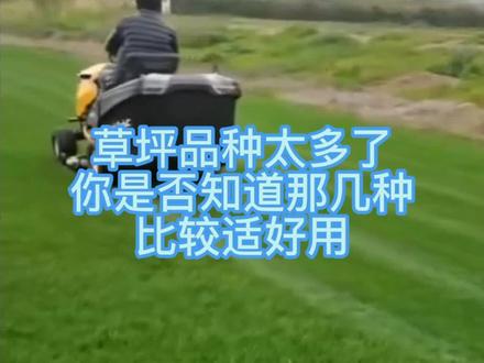 #上热门 常见草坪分类#园林绿化 #种子 @抖音小助手