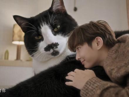炎亚纶Aaron Yan《家庭会议Family Meeti #炎亚纶新专辑