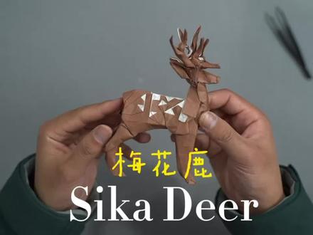 梅花鹿折纸又完成一个高难度的折纸挑战 #折纸