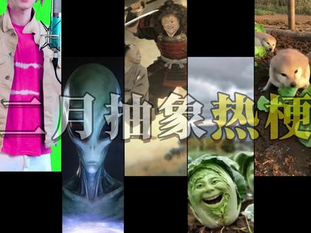 盘点二月五大抽象热梗,全知道的网瘾很大了! #热梗 #抽象 #白菜对我笑 #大只般若 #coke