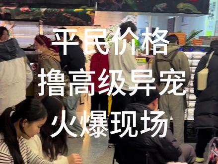 蜥奇古怪异宠体验馆人山人海的日常!#异宠