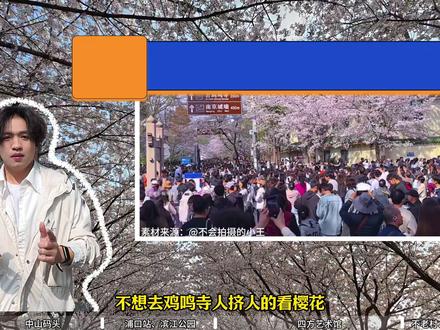 避开鸡鸣寺人潮!鼓楼→浦口40-60km骑行路线攻略 全程40-60km,人少景美,一路江风、文艺、山野全有~
📍路线亮点:
中山码头轮渡过江|浦口火车站复古街区|滨江公园江景无敌
四方艺术园看建筑美学|不老村治愈田园|响堂景区山野秘境
自行车/电动车都能走,春日骑游超舒服,随手拍都是大片!
#南京骑行 #人间观察计划 #南京小众路线 #樱花季不挤人 #南京周末去哪玩