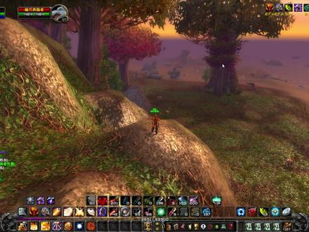 魔兽世界血精灵圣骑士30-来到千针石林