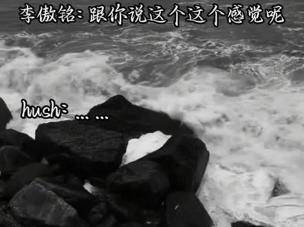 昨天真的要哭死了😭#铭铭sh你#Rc.hush #xy.李傲铭