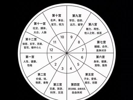 新手教学,十二宫位分析#占星 #星盘 #宫位 #星盘知识