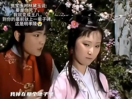 原来,红楼梦就是一封家书......!#明孝陵 #赑屃驮碑 #贾宝玉