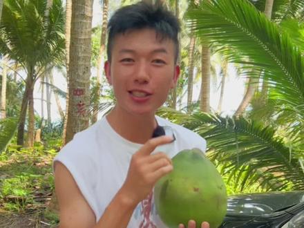 你想过椰子会掉下来砸到头嘛?#新农人计划2023 #椰子