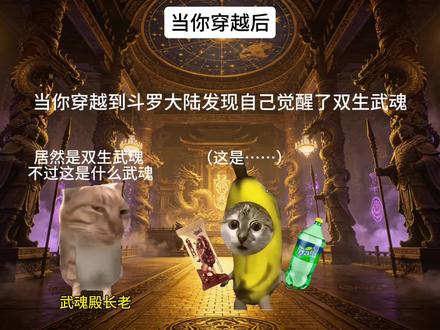 双生武魂#猫meme #雪碧#巧乐兹 #张雪峰