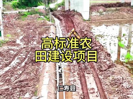 #上热门 仁寿县2026年这15个村将高标准农田建设,总投资:14320 万。资金来源:财政资金。中标通知书已经下发。一起看看是你家乡吗