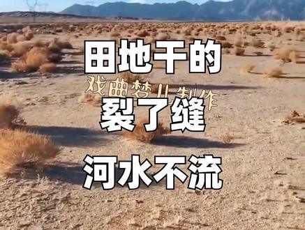 #豫剧 《下陈州》选段 陈州一带遭荒旱 #火段子