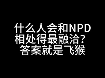 什么人会和NPD相处的很融洽 #npd