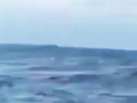 近距离观看座头鲸跃出水面...也太震撼了!