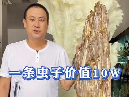 比恐龙还要老的远古巨虫,一条价值10腕#树化玉 #树化石 #摆件 #工艺品