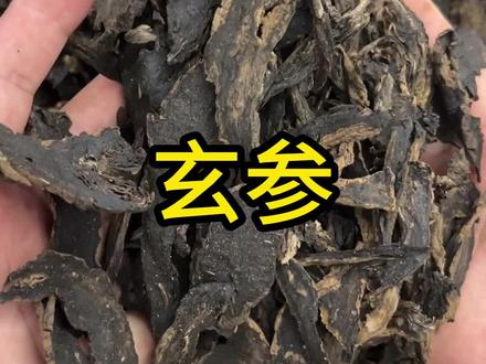 玄参,也叫元参,长的黑黑的,你知道怎么挑选吗#玄参 #养生