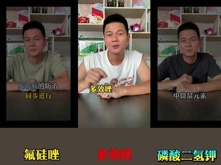 农作物也么控旺?#知识分享 #三农种植#控旺 #控旺剂