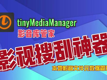 本地影音文件元数据管理tinyMediaManager影视搜刮神器海报墙01 #海报墙 #元数据 #emby