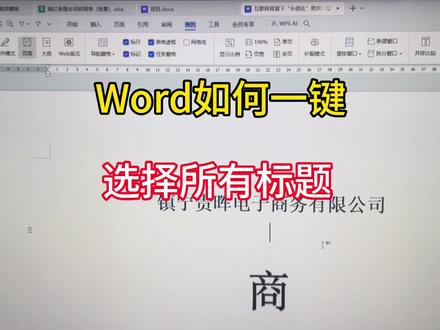 Word 如何一键选择所有标题#word #办公技能 #干货分享 #职场 #电脑知识