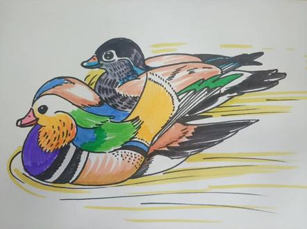 简笔画鸳鸯#简笔画 #鸳鸯 #画画 #简笔画教程 #亲子 #教育 #学习