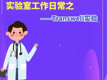 实验室工作日常之--Transwell实验 #分子生物学 #国家自然科学基金委员会 #生物实验 #医学科研 #生物学检测