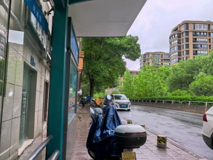 #2025年度总结 2025被分成两半,一半在高三,一半在大一,每一半的我都过得很幸福。这一年,有认识新朋友的快乐,有告别老同学的不舍。有人大方恣意地进入我的世界,有人悄然离开我的身边。或许在某些不经意的瞬间,我和许多人已经见完了最后一面,又在很多有趣的时刻,我和更多人继续书与彼此人生的故事。爱你老已,爱你2025的老己,更期待2026的老已。