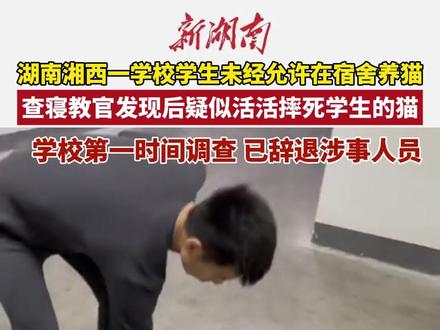 湖南湘西一职业技术学校教官查寝摔死学生幼猫, 校方回应:已辞退涉事人员
(编辑:啊哒 实习生:橘子)