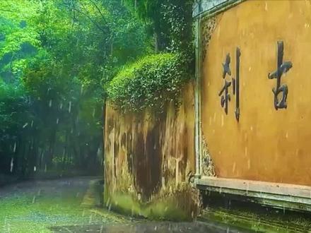 心无杂念,专心做事。#禅悟人生 #积德行善 #修心修行 #禅语录 #修心禅语