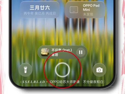短焦指纹方案的胶囊岛,意见反馈挺大,教你们如何美化!#coloros16 #金标coloros16 #短焦指纹胶囊岛 #玩机技巧