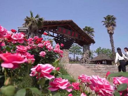 曲靖邀你五月来赶花—《赶花洞》 #有一种叫云南的生活 #珠江源头旅居曲靖 #世界最大的自然天成花园 #曲靖邀你五月来赶花