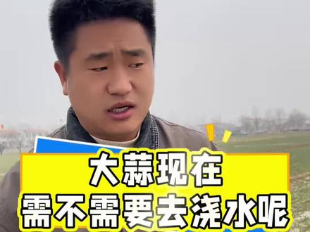 想浇大蒜返青水,温度得稳定才行#大蒜返青水#大蒜返青肥#大蒜返青