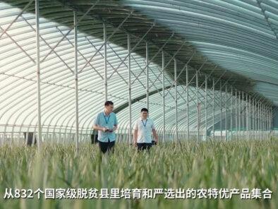 农业特色产品的发现者——“832优选”品牌
