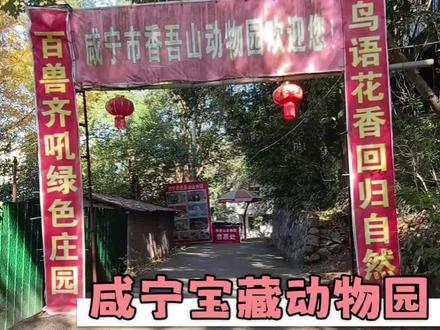 园长此时还没意识到事情的严重性 #香吾山动物园 #咸宁 #万万没想到 #大数据推荐给有需要的人