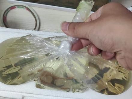 成功把养在教研室的五条小鱼带回家#养鱼 #日常生活