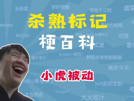 xiaohu杀熟标记是什么梗?【梗百科】#s13全球总决赛 #WBG #Xiaohu #杀熟大数据