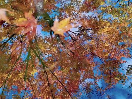 好歌推荐《缺氧》完整版 #缺氧轩姨 #缺氧完整版 #好歌推荐 #青年创作者成长计划 #音乐种草计划
我喜欢你生气的模样
我喜欢你小小的倔强
我喜欢你如果没有了你
就像缺氧
还记得在凌晨的大街
天空突然下起了小雨
我轻轻将你拥入怀里
风筝终会有坠落那天
可是我们不需要终点
兜兜转转你始终会停在我世界里面
我记得每个思念的黑夜
我记得每次分别的情景
我记得所有关于你
就是这样爱你
请别有所怀疑
我愿把一整颗心都交给你
就是这样爱你
记忆无所遁形
每分每秒都会想起你
我想和你一起奔跑
在爱的路上
这暧昧的味道
我想和你一起分享
如清晨花香
这爱情的味道
我喜欢你生气的模样
我喜欢你小小的倔强
我喜欢你如果没有了你就像缺氧
还记得在凌晨的大街
天空突然下起了小雨
我轻轻将你拥入怀里
风筝终会有坠落那天
可是我们不需要终点
兜兜转转你始终会停在我世界里面
我记得每个思念的黑夜
我记得每次分别的情景
我记得所有关于你
就是这样爱你
请别有所怀疑
我愿把一整颗心都交给你
就是这样爱你
记忆无所遁形
每分每秒都会想起你
我想和你一起奔跑
在爱的路上
这暧昧的味道
我想和你一起分享
如清晨花香
这爱情的味道
风筝终会有坠落那天
可是我们不需要终点
兜兜转转你始终会停在我世界里面
我记得每个思念的黑夜
我记得每次分别的情景
我记得所有关于你
就是这样爱你
请别有所怀疑
我愿把一整颗心都交给你
就是这样爱你
记忆无所遁形
每分每秒都会想起你
我想和你一起奔跑
在爱的路上
这暧昧的味道
我想和你一起分享
如清晨花香
这爱情的味道