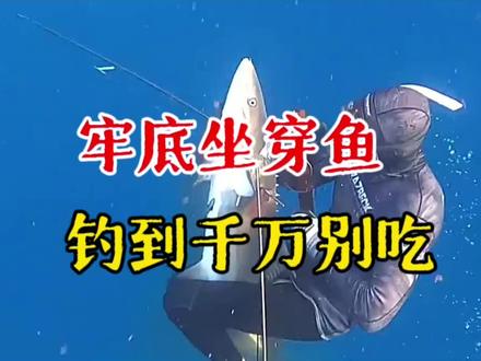 牢底坐穿鱼,钓到千万记得放生#钓鱼 #原来钓鱼才是抖音运动顶流 #鱼 #放生鱼