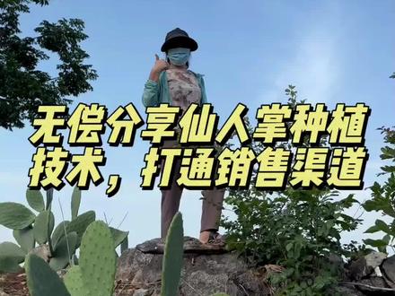返乡新农人开号的第一天,希望得到大家的认可和喜欢#仙人掌 #仙人掌新农人计划 #优质农产品原产地 #云南农业大学