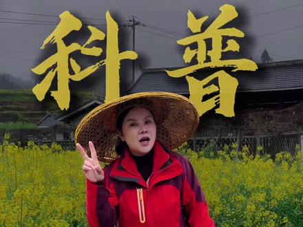 都来聊聊,给大家科普一下,打药的油菜到底有没有你想的那么可怕#热门科普 #用抖音记录美 #油菜花打药 #新农人计划 #芷江妹