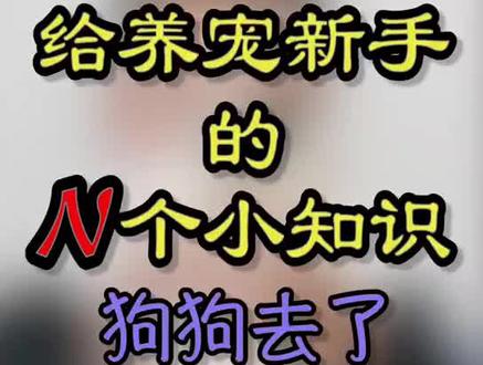 狗狗因病去了,尽快想再养一只怎么办?关注我,了解更多养宠知识?#科学养宠 #新手养宠 #宠物 #狗