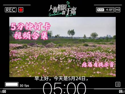 抖音打卡 第150集 早上好,你们今天打卡了吗,评论区互动一下,看谁打卡天数多。想听的歌也打在公屏上。#中视频伙伴计划 #抖音打卡签到 @DOU+上热门 @DOU+小助手 #365天打卡挑战 #创作者中心 #创作灵感