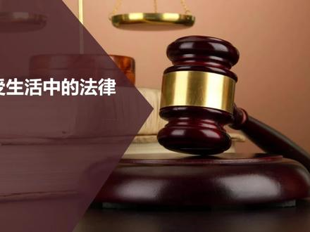 六年级道德与法治《感受生活中的法律》课件