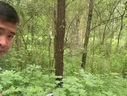 推介一款人人都可拥有性价比高的一款声卡怡乐星无线声卡买直播录歌套装详解演示#抖音平台让我充实丰富了业余生活 #怡乐星r88声卡 #给生活找点乐子