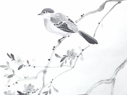 简单易学的《小鸟画法》,你学会了吗?感受国画的意境之美!#国画教程 #零基础国画 #国画入门教学 #谁说国画不抖音