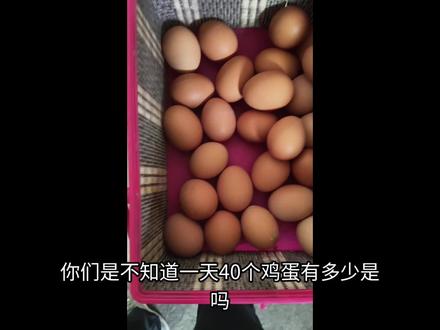 可能他真的是特殊体质吧。#蛋 #鸡蛋