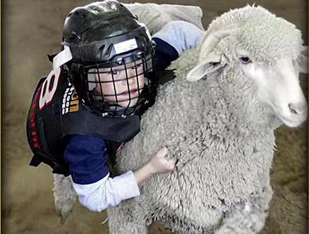 奇葩挑战 6岁小朋友骑羊比赛 宝宝们摔了也不会哭#抖音看世界 #老外真会玩 #真实纪录片 #骑羊比赛 #我在抖音看综艺