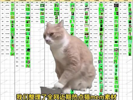 猫meme怎么导入动作-抖音