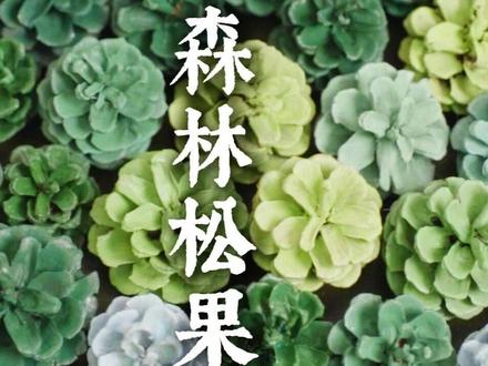 冬天用捡来的松果做了一幅松果画,氛围感拉满 #一见爱上传统文化 #百young非遗计划 #非遗祈福百景图 #青年创作者成长计划 #手工diy