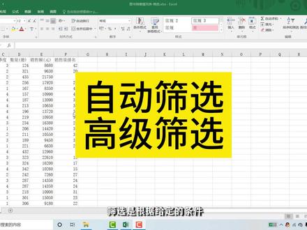Excel筛选和高级筛选 #office办公技巧 #0基础学电脑 #文员零基础入门教程 #excel技巧