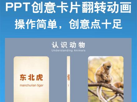 PPT卡片翻转动画,创意感十足#wps #ppt模板 #ppt设计 #ppt卡片 #创意ppt图片
