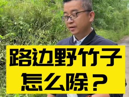 路边的野#竹子 怎么除?可以试试这个#环嗪酮 #除草剂