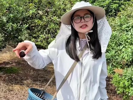 你们还敢吃杨梅吗 作为浮宫土生土长的人我有必要出来说几句#浮宫杨梅#杨梅#甜蜜素#大学生助农